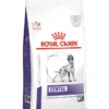 ROYAL CANIN Dental Medium/Large Dog 13kg -Doux Museau Soldes Magasin fre pl ROYAL CANIN Dental Medium Large Dog 13kg 23318 1