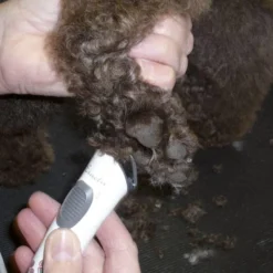 AESCULAP Tondeuse Pour Chiens Exacta Sans Fil Blanc -Doux Museau Soldes Magasin fre pl AESCULAP Tondeuse pour chiens Exacta sans fil blanc 25114 6