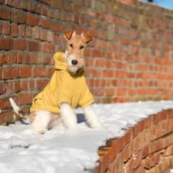 AMIPLAY Sweat-shirt à Capuche Texas Noir 25cm -Doux Museau Soldes Magasin fre pl AMIPLAY Sweat shirt a capuche Texas noir 25cm 28478 4