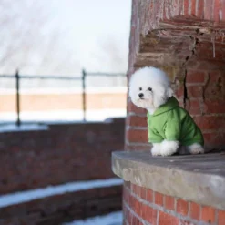 AMIPLAY Sweat-shirt à Capuche Texas Rouge 30cm -Doux Museau Soldes Magasin fre pl AMIPLAY Sweat shirt a capuche Texas rouge 30cm 28485 6