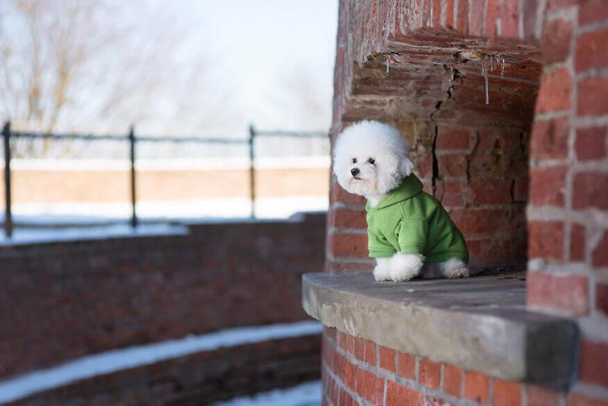 AMIPLAY Sweat-shirt à Capuche Texas Rouge 40cm 6 AMIPLAY Sweat-shirt à Capuche Texas Rouge 40cm – Image 4