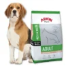 ARION Original Adult Medium Breed Saumon & Riz 12kg+Surprise Gratuite Pour Votre Chien