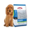 ARION Original Puppy Medium Breed Poulet & Riz 12kg+ Surprise Gratuit Pour Votre Chien -Doux Museau Soldes Magasin fre pl ARION Original Puppy Medium Breed Poulet Riz 12kg Surprise gratuit pour votre chien 27123 1