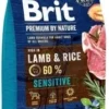 BRIT Premium By Nature Sensitive Lamb 3kg 2 BRIT Premium By Nature Sensitive Lamb 3kg -Doux Museau Soldes Magasin fre pl BRIT Premium By Nature Sensitive Lamb 3kg 9723 1 1
