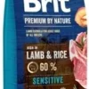 Brit Premium By Nature Sensitive Avec Agneau Et Riz 15kg 1 Brit Premium By Nature Sensitive Avec Agneau Et Riz 15kg -Doux Museau Soldes Magasin fre pl Brit Premium By Nature Sensitive Avec Agneau Et Riz 15kg 9724 1