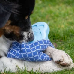 CoolPets Ice PINGWIN Pour Chiens -Doux Museau Soldes Magasin fre pl CoolPets Ice PINGWIN pour chiens 30501 5