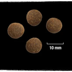 Crave Croquettes Pour Chien à La Dinde Et Au Poulet 2.8kg -Doux Museau Soldes Magasin fre pl Crave Croquettes pour chien a la dinde et au poulet 2 8kg 23433 3