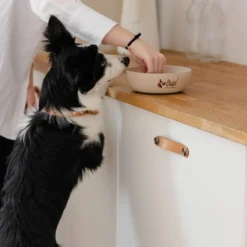 DINGO- Bol Antidérapant En Fibre De Bambou - 1500ml -Doux Museau Soldes Magasin fre pl DINGO Bol antiderapant en fibre de bambou 1500ml 29828 3