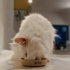 DINGO- Bol Antidérapant En Fibre De Bambou - 1500ml -Doux Museau Soldes Magasin fre pl DINGO Bol antiderapant en fibre de bambou 1500ml 29828 5