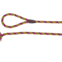 DINGO MAGIC - Laisse Pour Chien à Anneau Et à Clip Avec Cordon Jaune-rose