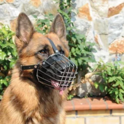 DINGO N°9 Muselière En Métal Pour Chiens De Berger Des Highlands -Doux Museau Soldes Magasin fre pl DINGO N 9 Museliere en metal pour chiens de berger des Highlands 26055 4