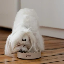 DINGO- Bol Lent En Fibre De Bambou- 800ml -Doux Museau Soldes Magasin fre pl DINGO bol lent en fibre de bambou 800ml 29822 3