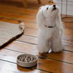 DINGO- Bol Lent En Fibre De Bambou- 800ml -Doux Museau Soldes Magasin fre pl DINGO bol lent en fibre de bambou 800ml 29822 4