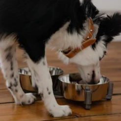 DINGO-set D'alimentation -2x1120 Ml -Doux Museau Soldes Magasin fre pl DINGO set dalimentation 2x1120 ml 29836 4