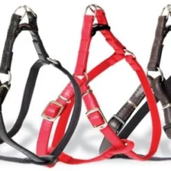 Dingo Basic Harnais Type Step-In Avec Sangle Pour Chiens Rouge Taille 50