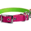 Dingo Collier En Sangle Double Face Pour Chiens Rose Et Vert 65cm -Doux Museau Soldes Magasin fre pl Dingo Collier en sangle double face pour chiens Rose et vert 65cm 10128 1