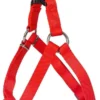 Dingo Harnais De Type Step-In Avec Sangle Pour Chiens Rouge Taille 70 -Doux Museau Soldes Magasin fre pl Dingo Harnais de type Step In avec sangle pour chiens rouge taille 70 16462 1