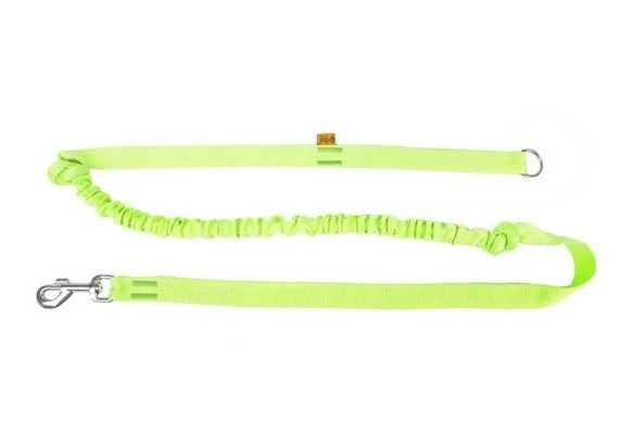 Dingo Laisse Avec Absorbeur De Chocs Et Poignée Vert 170cm 3 Dingo Laisse Avec Absorbeur De Chocs Et Poignée Vert 170cm