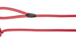 Dingo Laisse Pour Chien Anneau Snake Rouge 170cm