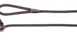 Dingo Laisse Pour Chien En Anneau Avec Ligne Snake Noir 170cm