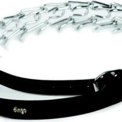 Dingo Pique Avec Poignée En Cuir Pour Chiens Longue Pique 62-76cm