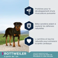 EUKANUBA Breed Specific Rottweiler 12kg + Surprise Gratuite Pour Votre Chien -Doux Museau Soldes Magasin fre pl EUKANUBA Breed Specific Rottweiler 12kg Surprise gratuite pour votre chien 27334 4