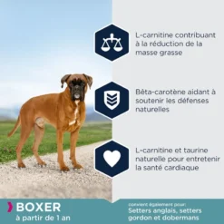 Eukanuba Adult Breed Specific Boxer 12kg -Doux Museau Soldes Magasin fre pl Eukanuba Adult Breed Specific Boxer 12kg 15577 4