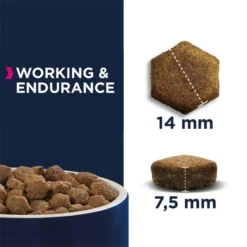Eukanuba Daily Care Working & Endurance Adult 15kg 5 Eukanuba Daily Care Working & Endurance Adult 15kg -Doux Museau Soldes Magasin fre pl Eukanuba Daily Care Working Endurance Adult 15kg 15282 2