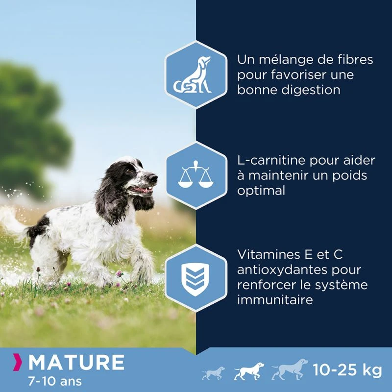 Eukanuba Thriving Mature Medium Breed 3kg+ Surprise Gratuite Pour Votre Chien 4 Eukanuba Thriving Mature Medium Breed 3kg+ Surprise Gratuite Pour Votre Chien – Image 2