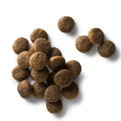 Faunakram Premium Grain Free Dog Salmon 15 Kg -Doux Museau Soldes Magasin fre pl Faunakram Premium Grain free Dog Salmon 15 kg 30196 2