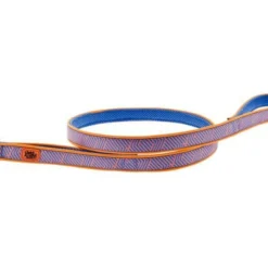 Ferribiella XTRM ARIA Laisse Pour Chien S Bleu/Orange