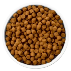 Hills Hill's PD Prescription Diet Canine I/d 12kg -Doux Museau Soldes Magasin fre pl Hills PD Prescription Diet Canine i d 12kg 12659 4