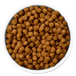 Hills Hill's PD Prescription Diet Canine I/d 12kg+ Surprise Pour Votre Chien GRATUITE ! -Doux Museau Soldes Magasin fre pl Hills PD Prescription Diet Canine i d 12kg Surprise pour votre chien GRATUITE 25759 3