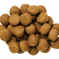 Hills Hill's PD Prescription Diet Canine Z/d Food Sensitivities 10kg -Doux Museau Soldes Magasin fre pl Hills PD Prescription Diet Canine z d Food Sensitivities 10kg 15772 3