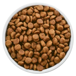 Hills Hill's Prescription Diet I/d Sensitive Canine Avec Oeuf Et Riz 1,5kg -Doux Museau Soldes Magasin fre pl Hills Prescription Diet i d Sensitive Canine Avec Oeuf et Riz 1 5kg 8592 5