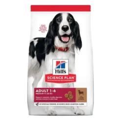 Hills Hill's SP Science Plan Canine Adult Medium Breed Agneau Et Riz 14kg