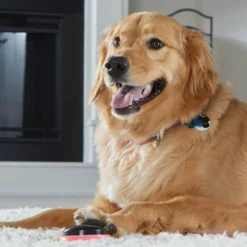 Hunger For Words TALKING PET NEXT WORDS LOCATIONS Localisation -Doux Museau Soldes Magasin fre pl Hunger for Words TALKING PET NEXT WORDS LOCATIONS Localisation 29731 4