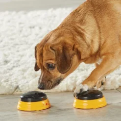 Hunger For Words TALKING PET NEXT WORDS NAMES -Doux Museau Soldes Magasin fre pl Hunger for Words TALKING PET NEXT WORDS NAMES 29733 4