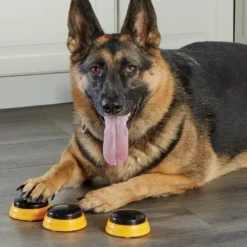 Hunger For Words TALKING PET NEXT WORDS NAMES -Doux Museau Soldes Magasin fre pl Hunger for Words TALKING PET NEXT WORDS NAMES 29733 5