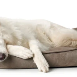 Hunter Bologna Panier Pour Chien Beige Taille S -Doux Museau Soldes Magasin fre pl Hunter Bologna Panier pour chien Beige Taille S 16593 4