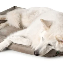 Hunter Bologna Panier Pour Chien Brun S -Doux Museau Soldes Magasin fre pl Hunter Bologna Panier pour chien brun S 16591 3