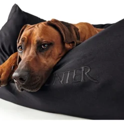 Hunter Gent Sofa Antibactérien Pour Chiens Noir Taille M -Doux Museau Soldes Magasin fre pl Hunter Gent Sofa Antibacterien pour chiens Noir Taille M 16606 2