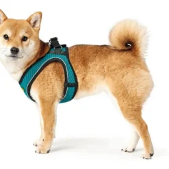 Hunter Hilo Comfort Harnais Pour Chien Turquoise Taille M/L -Doux Museau Soldes Magasin fre pl Hunter Hilo Comfort Harnais pour chien Turquoise Taille M L 12618 3