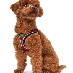 Hunter Hilo Comfort Harnais Pour Chien Rouge Taille S -Doux Museau Soldes Magasin fre pl Hunter Hilo Comfort Harnais pour chien rouge Taille S 13103 3