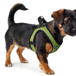 Hunter Hilo Comfort Harnais Pour Chien Vert Lime Taille XS/S -Doux Museau Soldes Magasin fre pl Hunter Hilo Comfort Harnais pour chien vert lime Taille XS S 16553 3