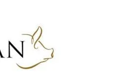 IBERCAN Pour Chiens Adultes Avec Viande De Bœuf 15kg -Doux Museau Soldes Magasin fre pl IBERCAN pour chiens adultes avec viande de boeuf 15kg 29793 2