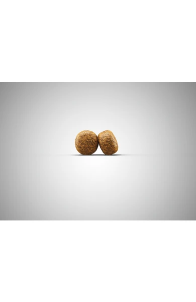 JOSERA Balance Senior/Light 15kg 4 JOSERA Balance Senior/Light 15kg – Image 2