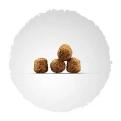 Josera Family Plus 15kg 7 Josera Family Plus 15kg -Doux Museau Soldes Magasin fre pl Josera Family Plus 15kg 8601 2