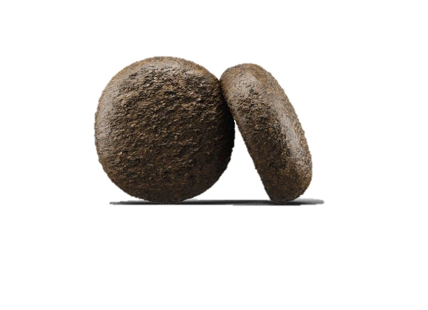 Josera Festival 15 Kg + Surprise Pour Votre Chien GRATUITES ! 5 Josera Festival 15 Kg + Surprise Pour Votre Chien GRATUITES ! – Image 3