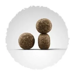 Josera High Energy 15kg 7 Josera High Energy 15kg -Doux Museau Soldes Magasin fre pl Josera High Energy 15kg 13675 2